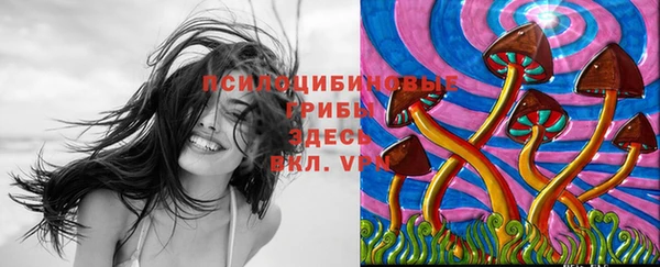 мяу мяу кристалл Козловка