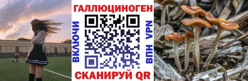 Псилоцибиновые грибы Magic Shrooms  Купить закладки  Майкоп 