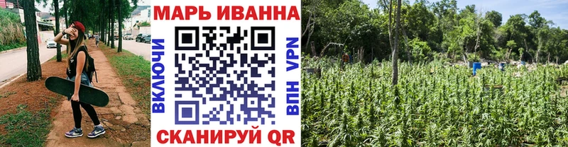 Купить где Майкоп Каннабис индика